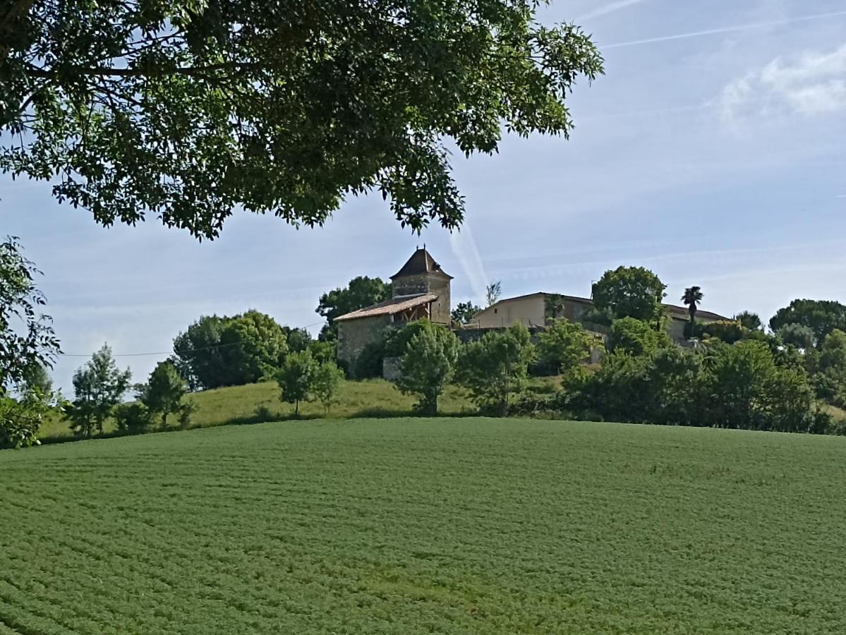 مبيت وإفطار Castelnau-dʼArbieu Pigeonnier De Sabaillan المظهر الخارجي الصورة